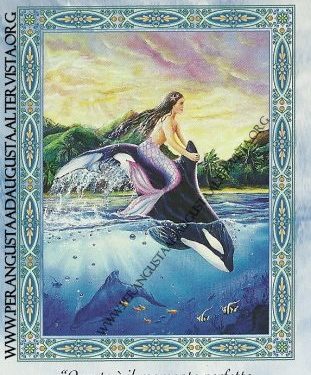 Il messaggio delle Sirene e dei Delfini: Pronti, partenza, via!