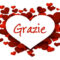 ✨ Il Venerdì della Gratitudine